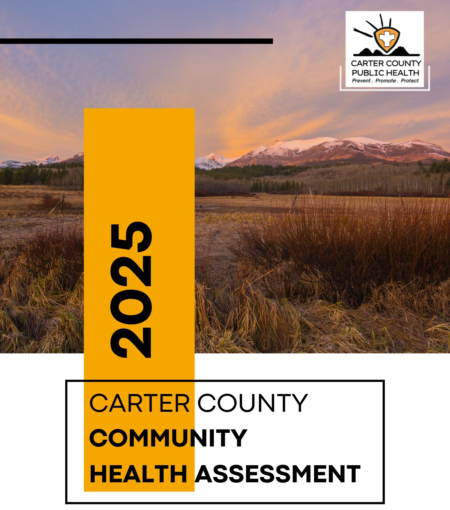 Final CHA Report static